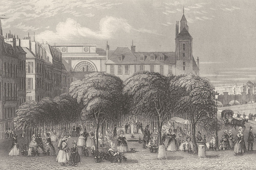 FRANCE. Flower & shrub market, Paris c1856 old antique vintage print picture